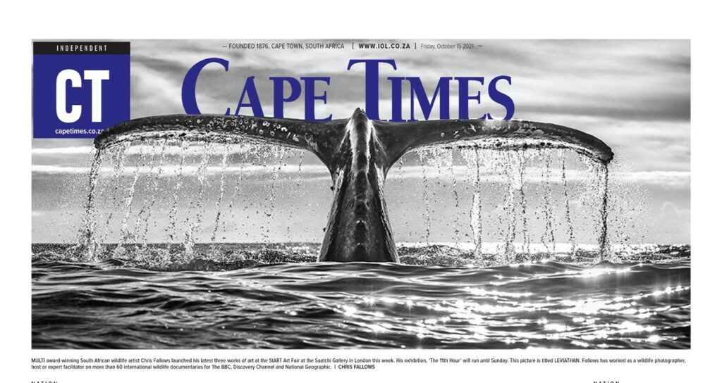 cape times